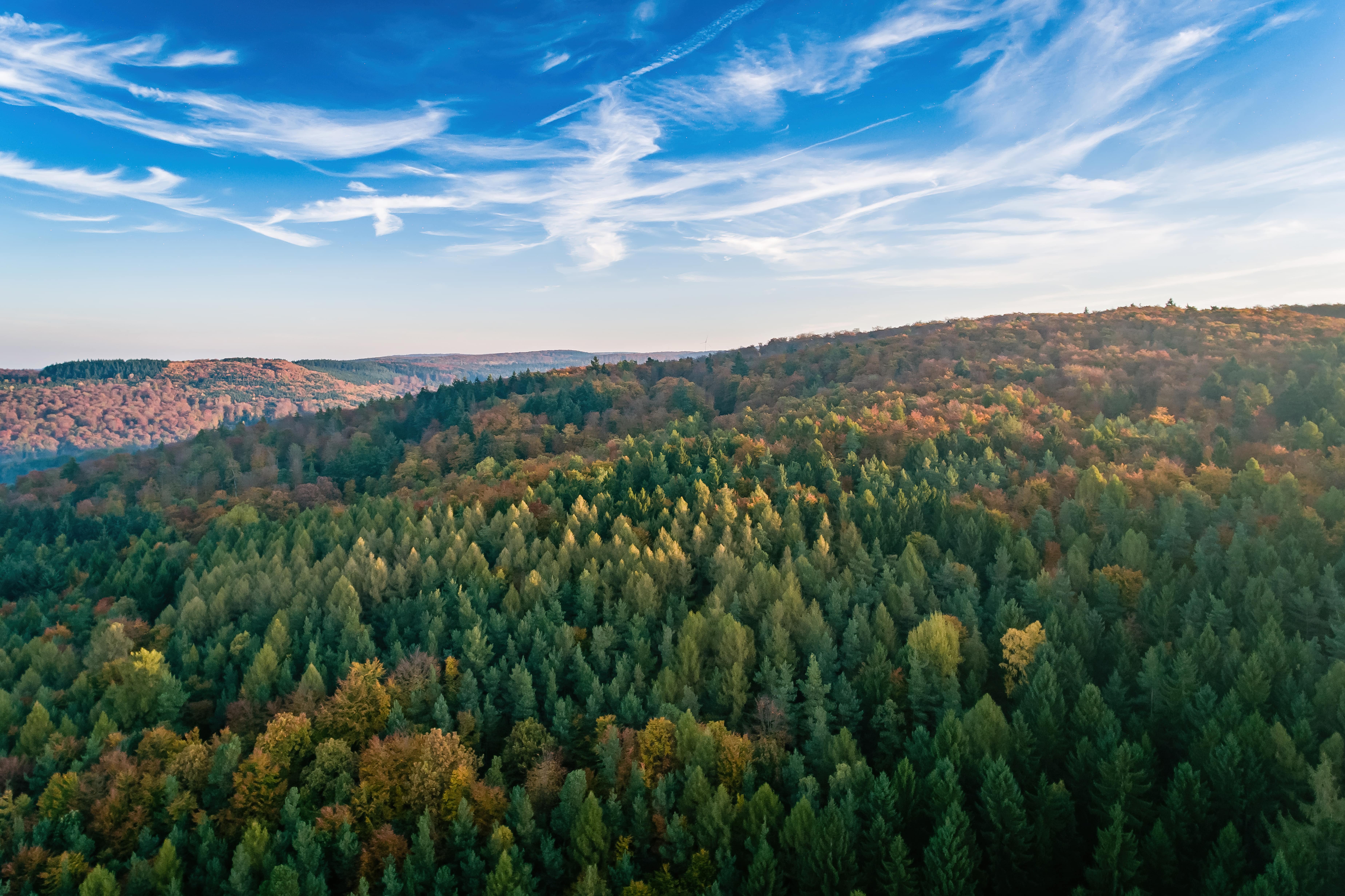 Blick über den Steinwald bei Neukirchen. Oben ist blauer Himmel mit leichten Schleierwolken zu sehen.