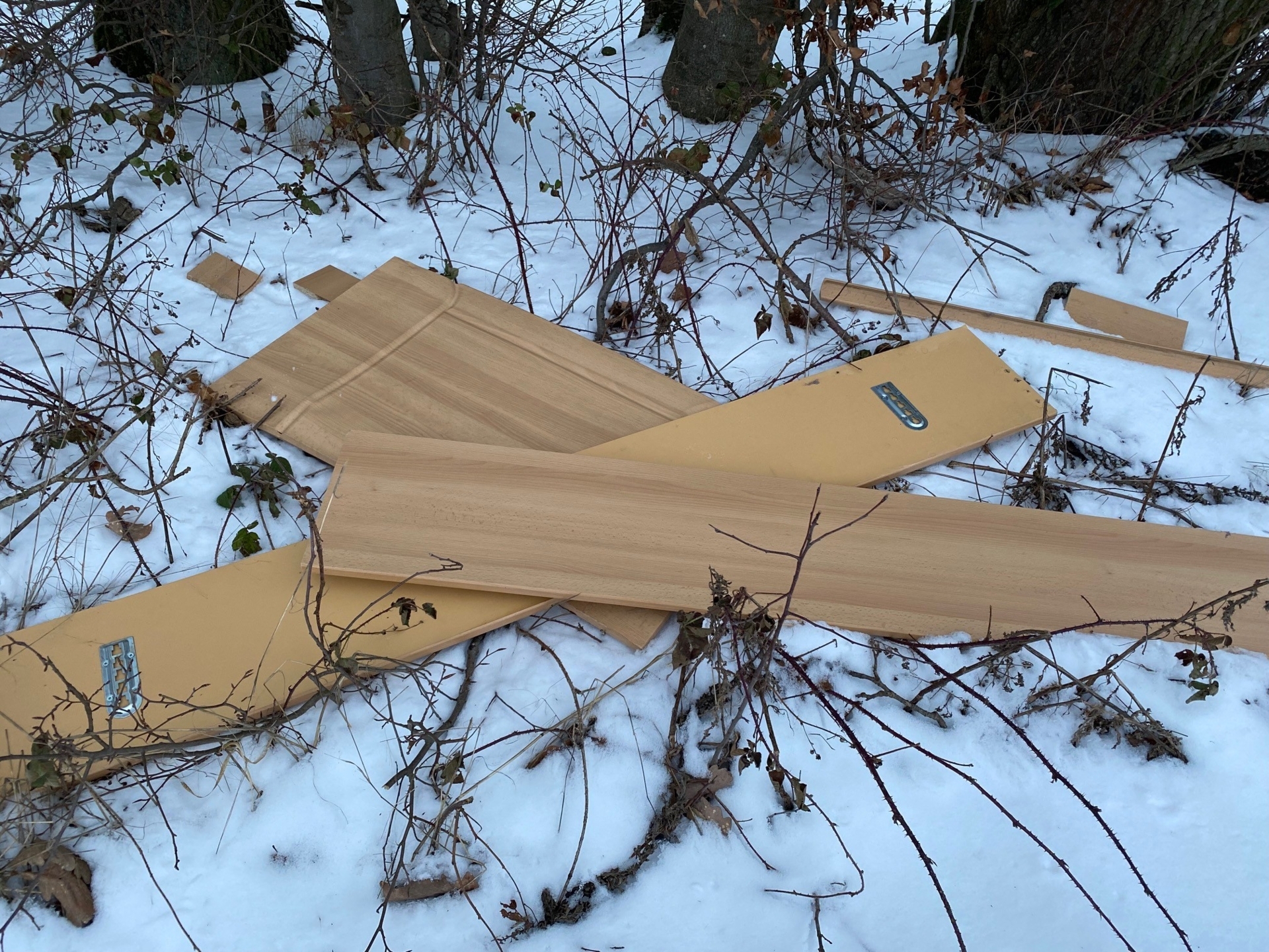 zerlegte buchefarbene Teile eines Bettes auf zugeschneitem Waldboden